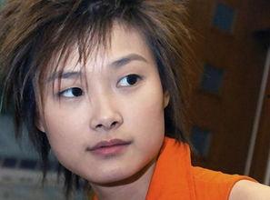 娱乐吃瓜假小子,揭秘娱乐圈幕后故事